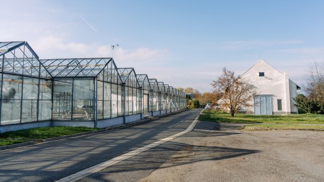 Future farming wybuduje kolejną farmę akwaponiczną w miejscowości Přerov nad Labem